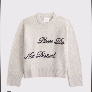 NWT A&F Madeline Crew Sweater XS